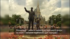 Disneyland podnosi ceny biletów 