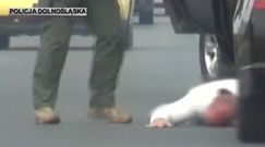 CBŚ rozbiło gang sutenerów