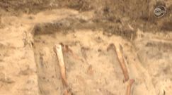 Przebadano szczątki z 'przeklętego cmentarza' w Gliwicach