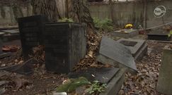 12-latek zdewastował cmentarz 