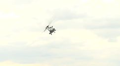 Pokaz umiejętności francuskich żołnierzy