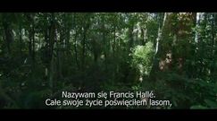 "Był sobie las" (2014)