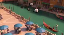 Pingwiny z Madagaskaru - Pościg