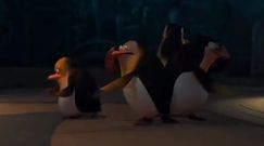 Pingwiny z Madagaskaru - Patrzcie, guziczek!