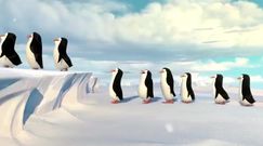 Pingwiny z Madagaskaru - Nowy w ekipie