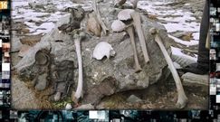 Jezioro szkieletów [Pixel]