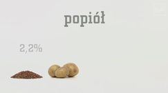 Dobroczynne właściwości kaszy