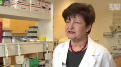 Jak stosować antybiotyki? [Specjalista radzi]