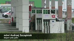 Ceny paliw się ustabilizowały