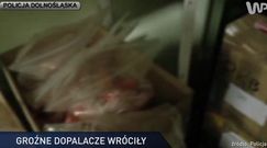 #dziejesiewpolsce: dopalacze wróciły