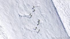 Engelberg: prawdziwy raj dla narciarzy