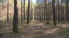 Dziewczynka znaleziona przy drodze