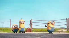 Minionki (2015)