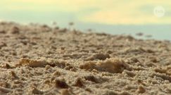 Wielki Szott - słone jezioro na Saharze