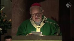 Kościół przeprosi za grzechy pedofilii 