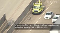 Niecodzienna eskorta w Illinois