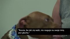 Niesłysząca kobieta przygarnęła głuchego psa 