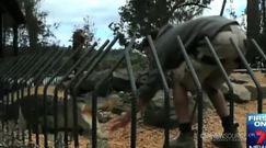 Krokodyl wciągnął mężczyznę do wody