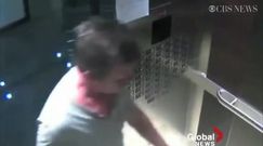 Dyrektor korporacji znęcał się nad psem