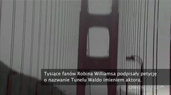 Tunel imienia Robina Williamsa?