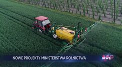 WP News wydanie 08.05, godzina 16:50