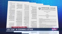 WP News wydanie 31.05, godzina 11:50