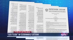 WP News wydanie 31.05, godzina 11:50