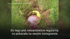 "Trafiony, zatopiony". Nieprawdopodobna skuteczność mistrzyni olimpijskiej (wideo)