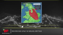 Newsroom WP, wydanie 19.07