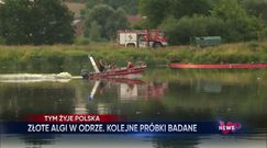 WP News wydanie 19.08, godzina 11:50