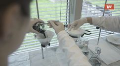 Wynalazek Polaków. Nanoseen dostarczy wodę pitną