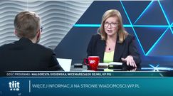 Tłit - Małgorzata Gosiewska