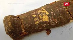 Tajemnica małej mumii. Tysiącletni sekret odkryty przez badaczy