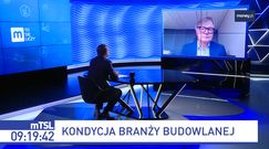 Koniec galerii handlowych? "Mniejsze nadal będą budowane"