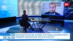 Nowy projekt PiS o ochronie zwierząt. Szef młodzieżówki mówi o odszkodowaniach dla hodowców