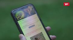 Grzybobranie 2.0. Poszliśmy z leśnikiem na grzyby, by zrobić test. Efekt nas zaskoczył