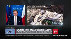 Wycinka w Bieszczadach. "Być może to będzie szok, ale parki narodowe też prowadzą wycinki"