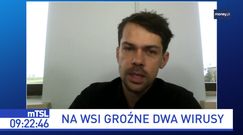 Na wsi szaleją dwa wirusy. "Państwo jest bezsilne"