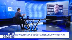 Rząd podniesie podatki? "Załamanie kursu złotego to jedyny powód"