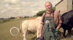 Niemcy. Boom na mięso ekologiczne