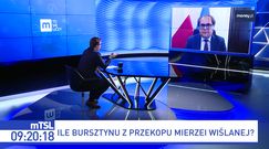 Bursztyn z przekopu Mierzei. Atrakcja turystyczna zamiast wielkiego wydobycia