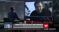 Grzybów w lasach nie ma. Deszcze wcale nie pomogły