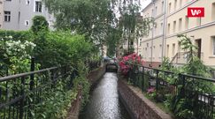 Najlepiej WPolsce. Krzysztof Puternicki w Gdańsku: "Nie brać mapy i po prostu się zgubić"