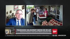 Fatalny rok dla truskawek. "Najgorzej od 30 lat"