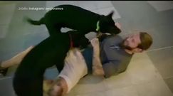 #dziejesiewsporcie: Sergio Ramos pokazał swoich ulubieńców