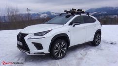 Lexus NX 300 - jak poradził sobie w górach?