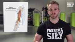 Trening bicepsów - jakie ćwiczenia wykonywać?