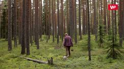Tradycyjnie czy w piekarniku? Suszenie grzybów
