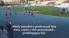 #dziejesiewsporcie: sprinterzy w szoku! Tego na mecie nie spodziewali się