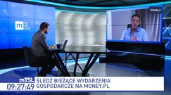 Luki w polskim prawie, pieniądze wyciekają. "Uszczelnianie cały czas musi postępować"